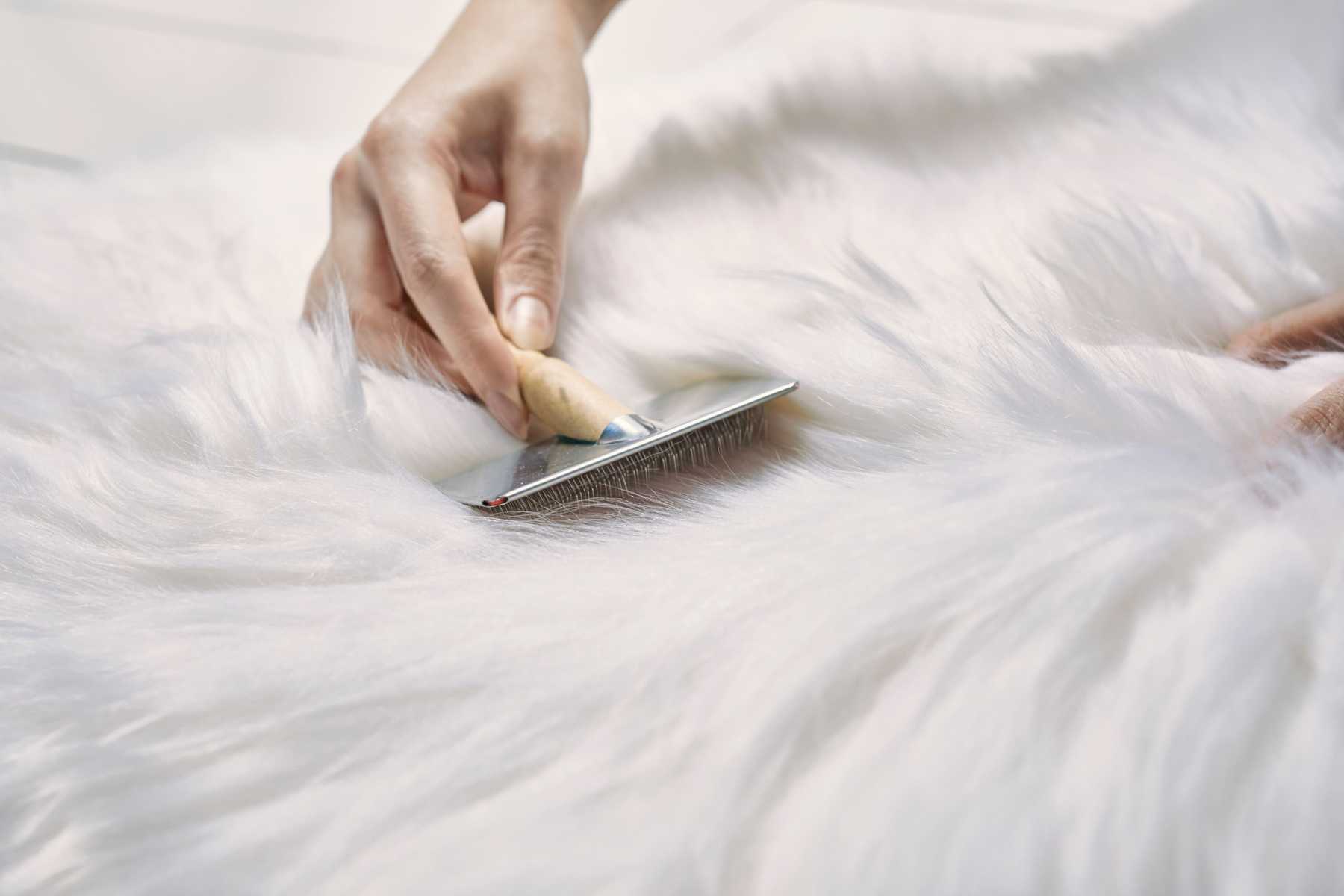 Cách làm áo hết rụng lông